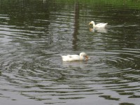 /album/galeria-de-fotos/dsc00923-jpg/