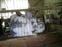 /album/galeria-de-fotos/dsc00928-jpg/