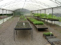 /album/galeria-de-fotos/dsc00955-jpg/